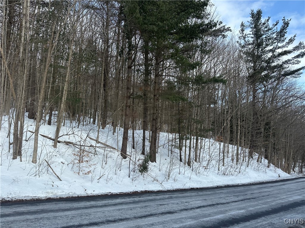 0 Song Mountain Road Tully, NY 13159 - Photo 1 of 1