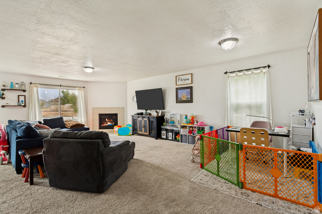 1427 South 1100th Street West Springville, UT 84663 - Photo 4 of 44