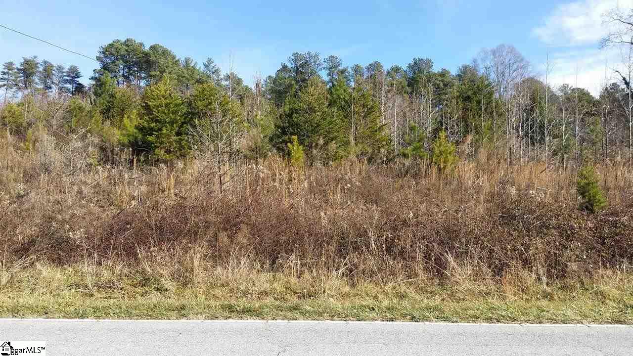 0 North Jones Road Taylors, SC 29687 - Photo 11 of 19