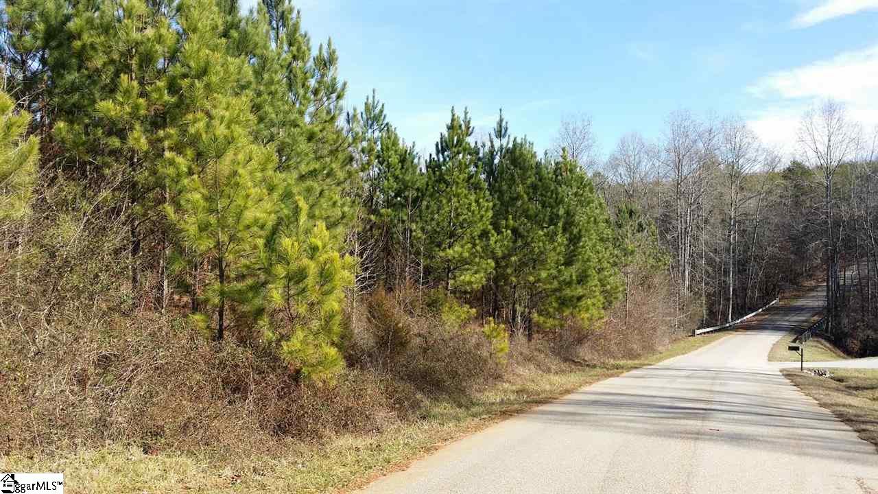0 North Jones Road Taylors, SC 29687 - Photo 12 of 19