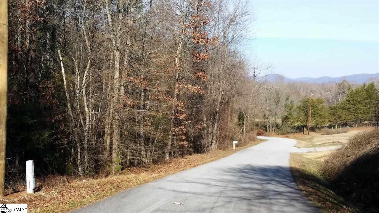 0 North Jones Road Taylors, SC 29687 - Photo 13 of 19