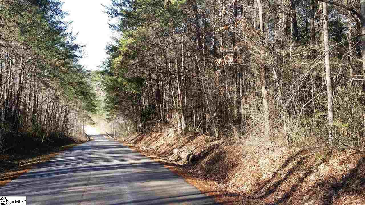 0 North Jones Road Taylors, SC 29687 - Photo 14 of 19