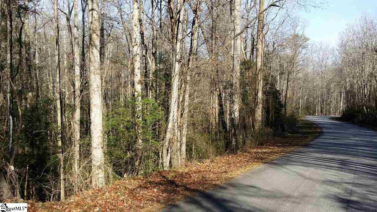 0 North Jones Road Taylors, SC 29687 - Photo 15 of 19