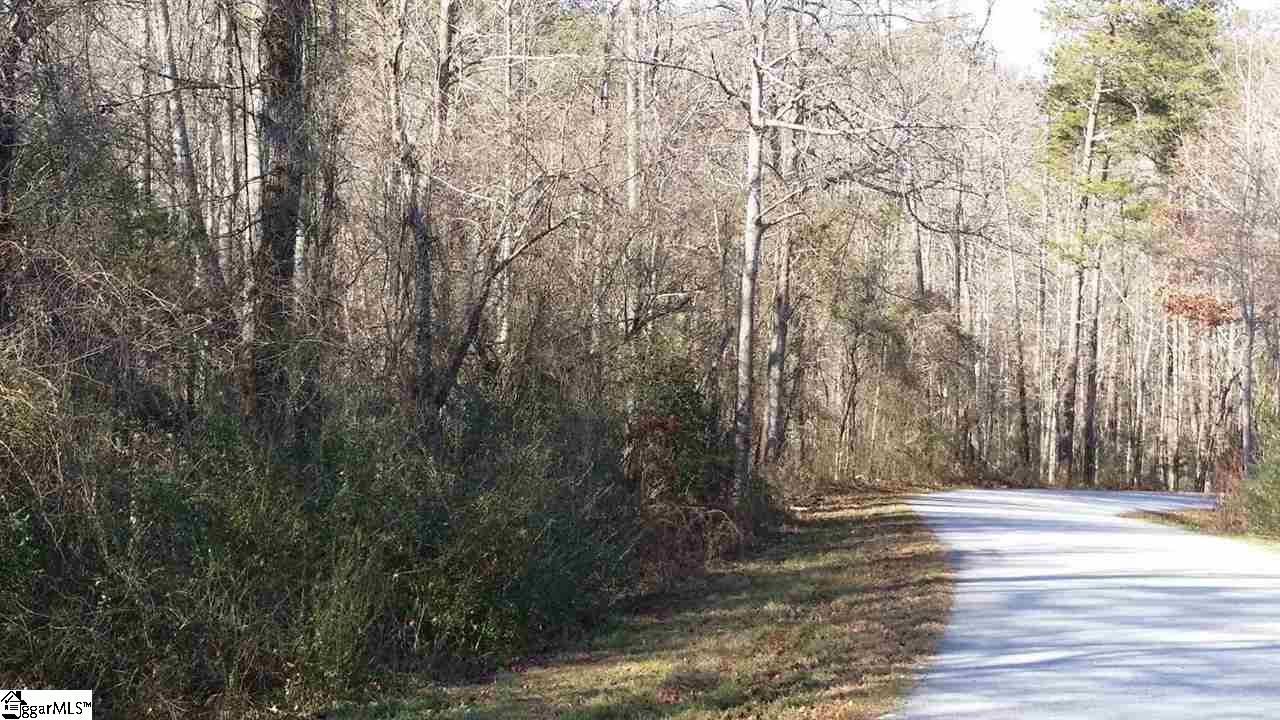 0 North Jones Road Taylors, SC 29687 - Photo 16 of 19