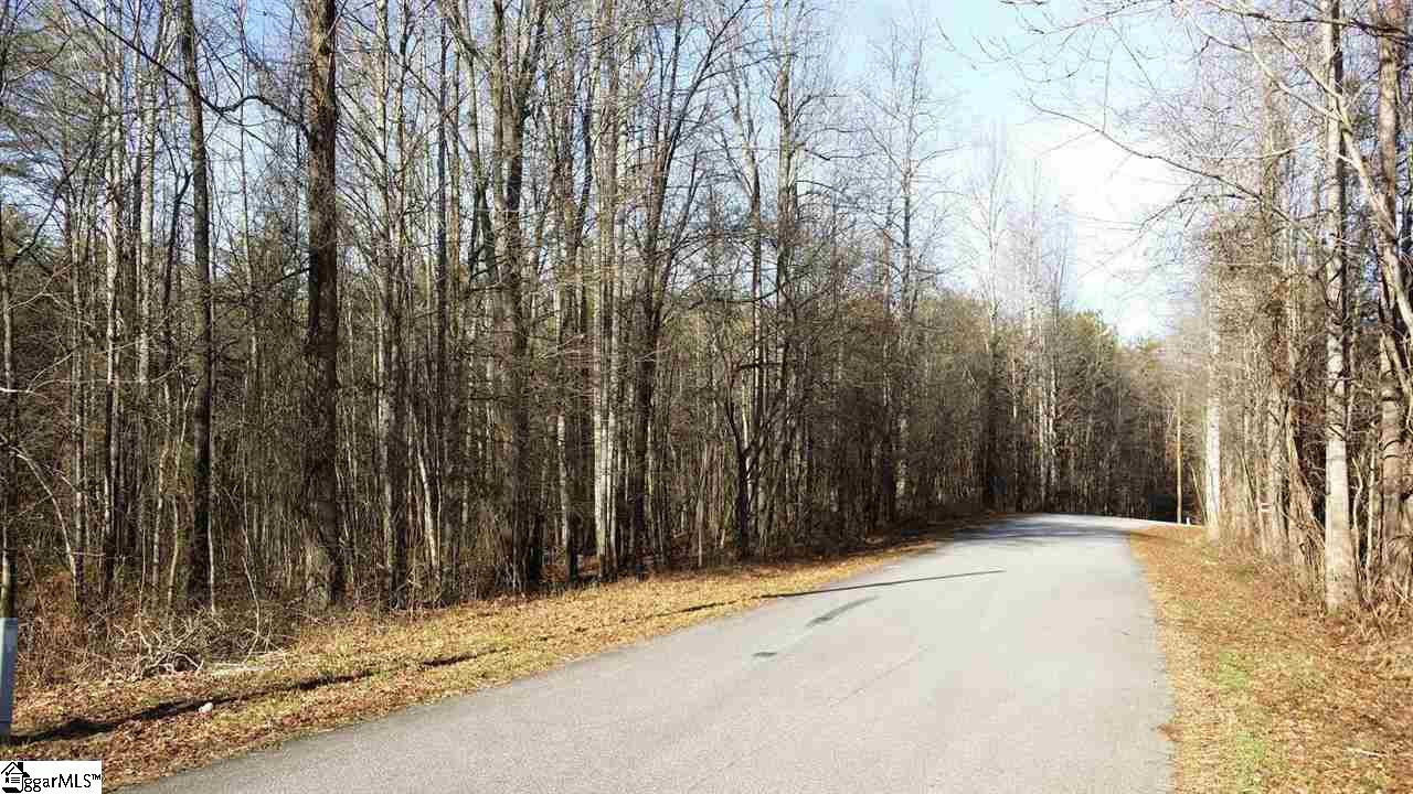 0 North Jones Road Taylors, SC 29687 - Photo 17 of 19