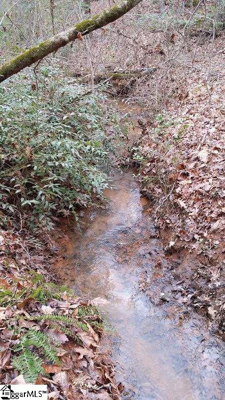 0 North Jones Road Taylors, SC 29687 - Photo 3 of 19