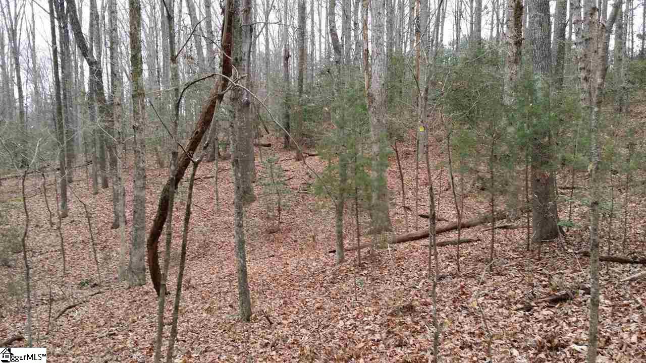 0 North Jones Road Taylors, SC 29687 - Photo 5 of 19