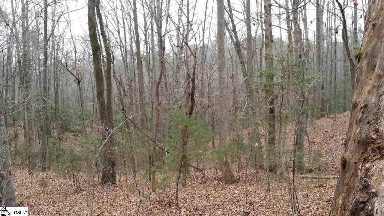 0 North Jones Road Taylors, SC 29687 - Photo 6 of 19