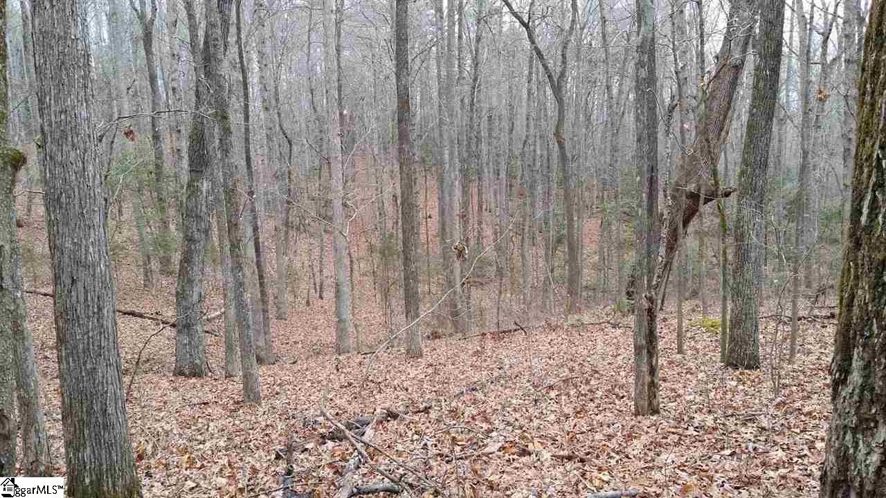 0 North Jones Road Taylors, SC 29687 - Photo 7 of 19