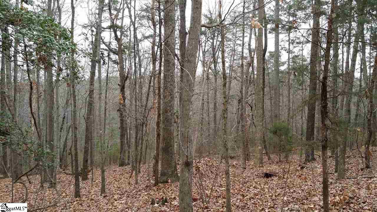 0 North Jones Road Taylors, SC 29687 - Photo 8 of 19