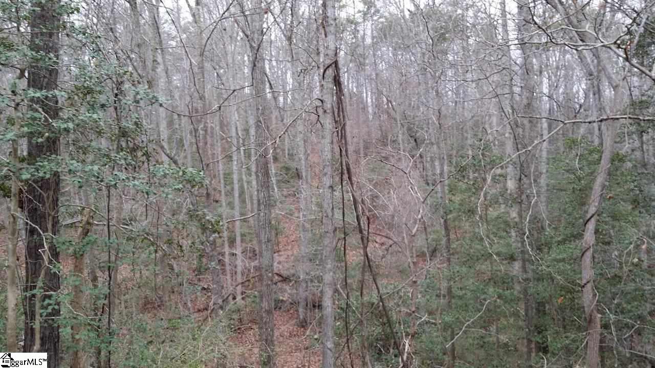 0 North Jones Road Taylors, SC 29687 - Photo 9 of 19