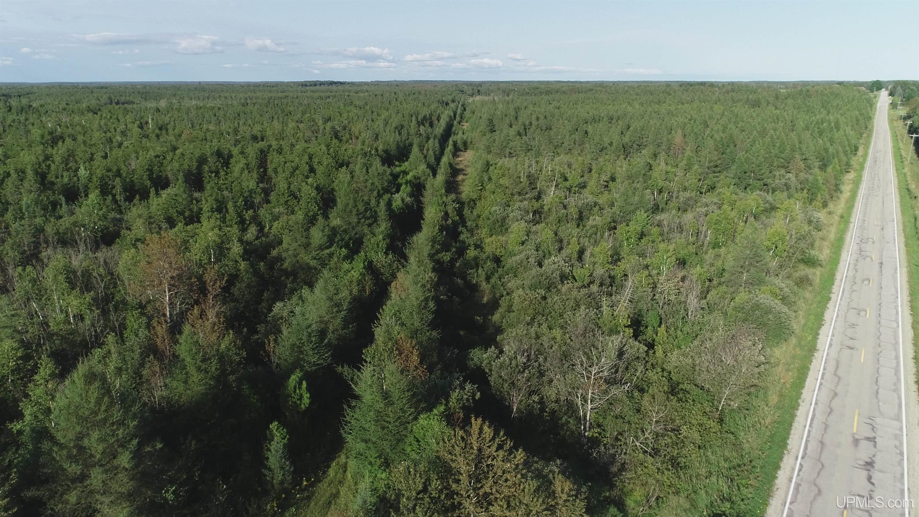 332-acres River Road Gulliver, MI 49840 - Photo 7 of 14