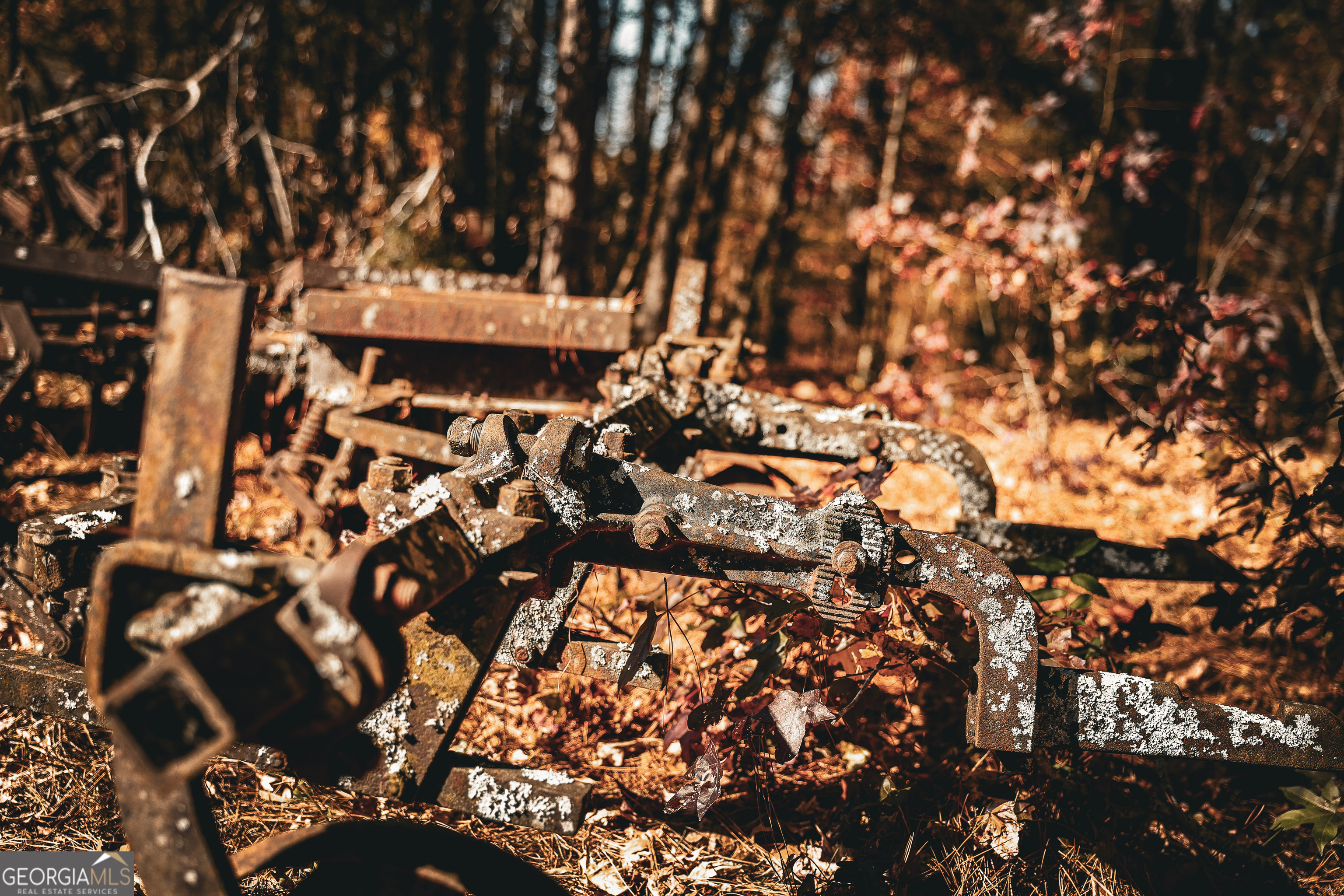 814 Oak Grove Church Road Musella, GA 31066 - Photo 15 of 55