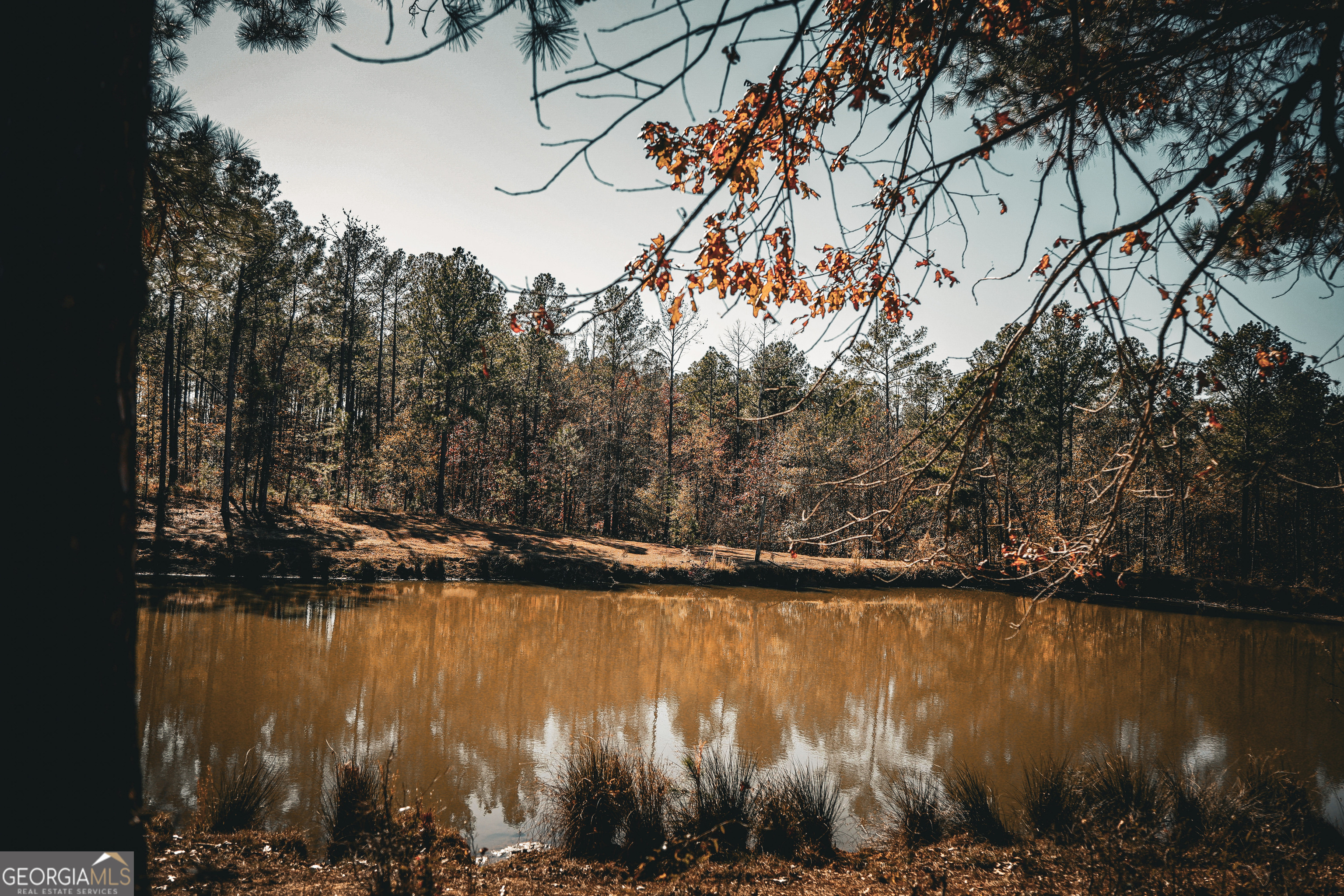 814 Oak Grove Church Road Musella, GA 31066 - Photo 17 of 55 a view of lake