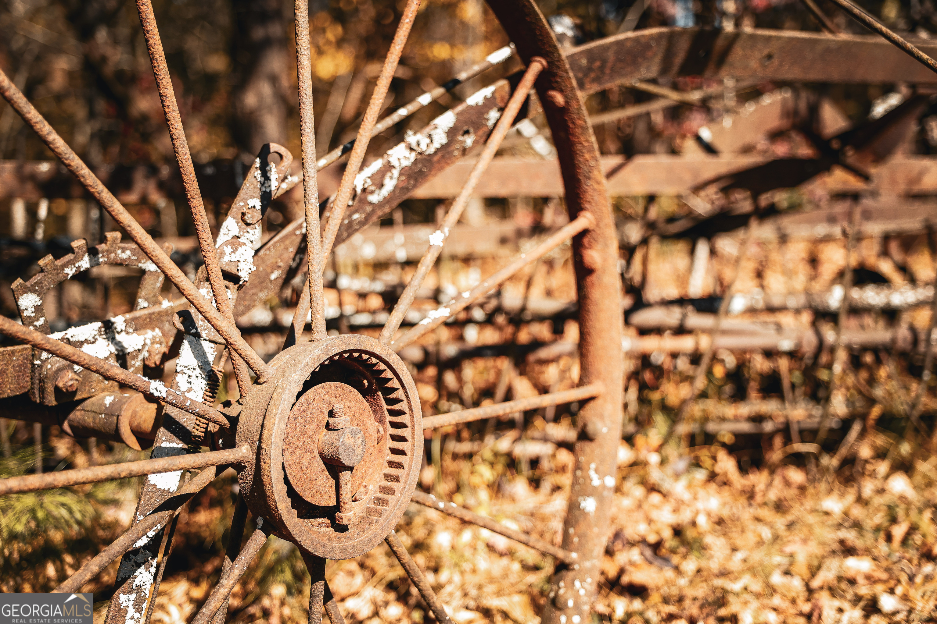 814 Oak Grove Church Road Musella, GA 31066 - Photo 2 of 55