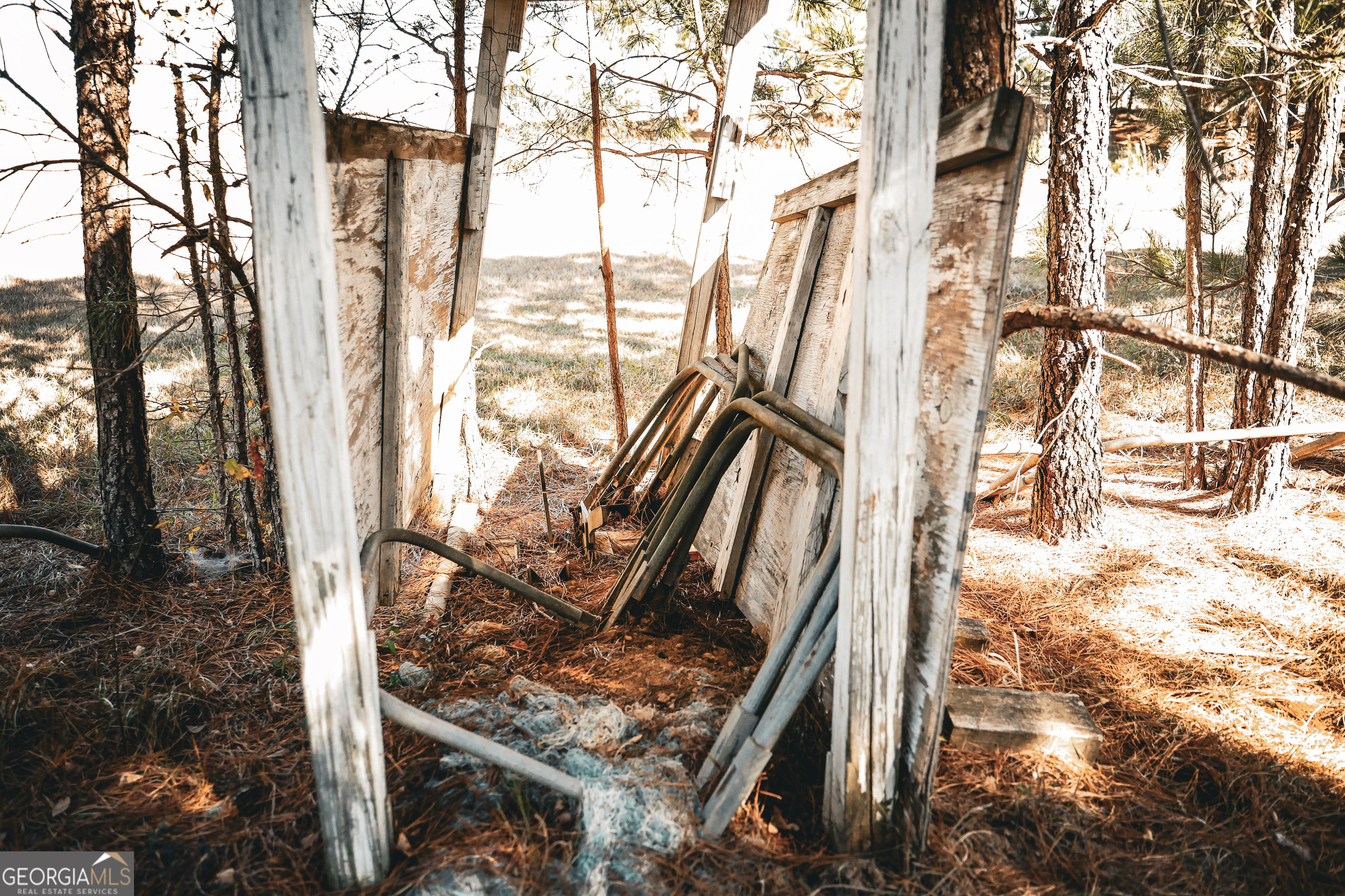 814 Oak Grove Church Road Musella, GA 31066 - Photo 21 of 55 a view of an outdoor space