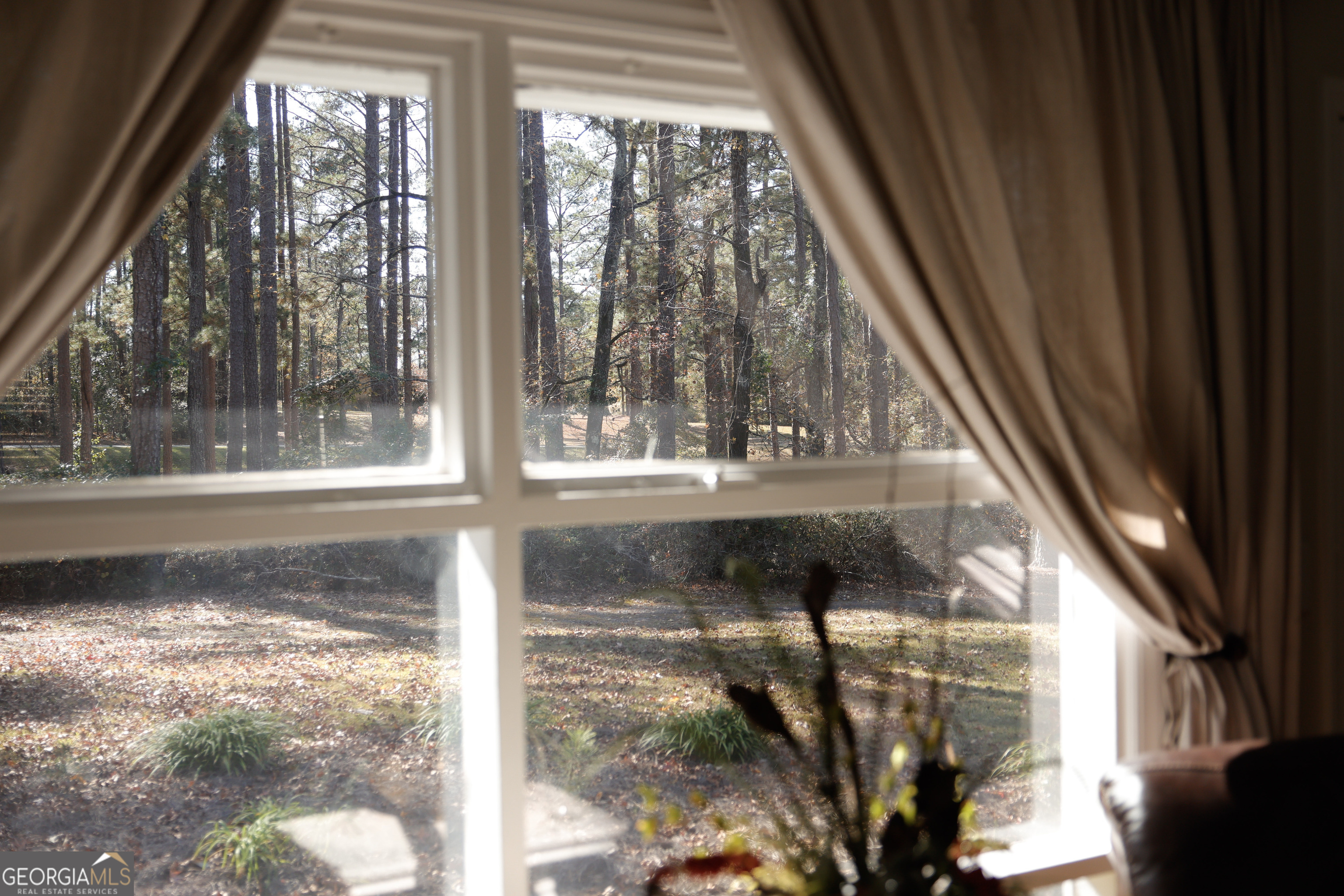 814 Oak Grove Church Road Musella, GA 31066 - Photo 22 of 55 a view of a glass door with a yard from a window