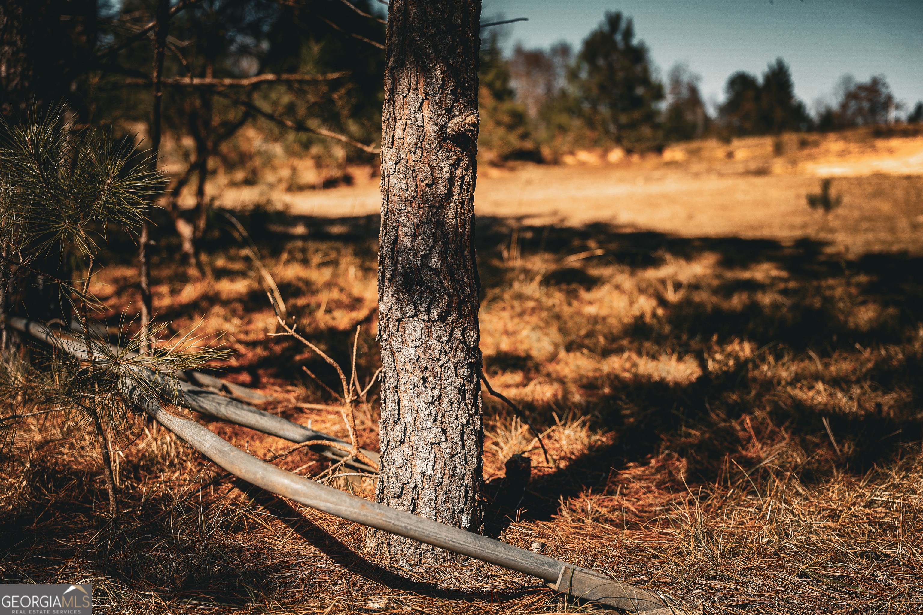 814 Oak Grove Church Road Musella, GA 31066 - Photo 24 of 55 a view of a city