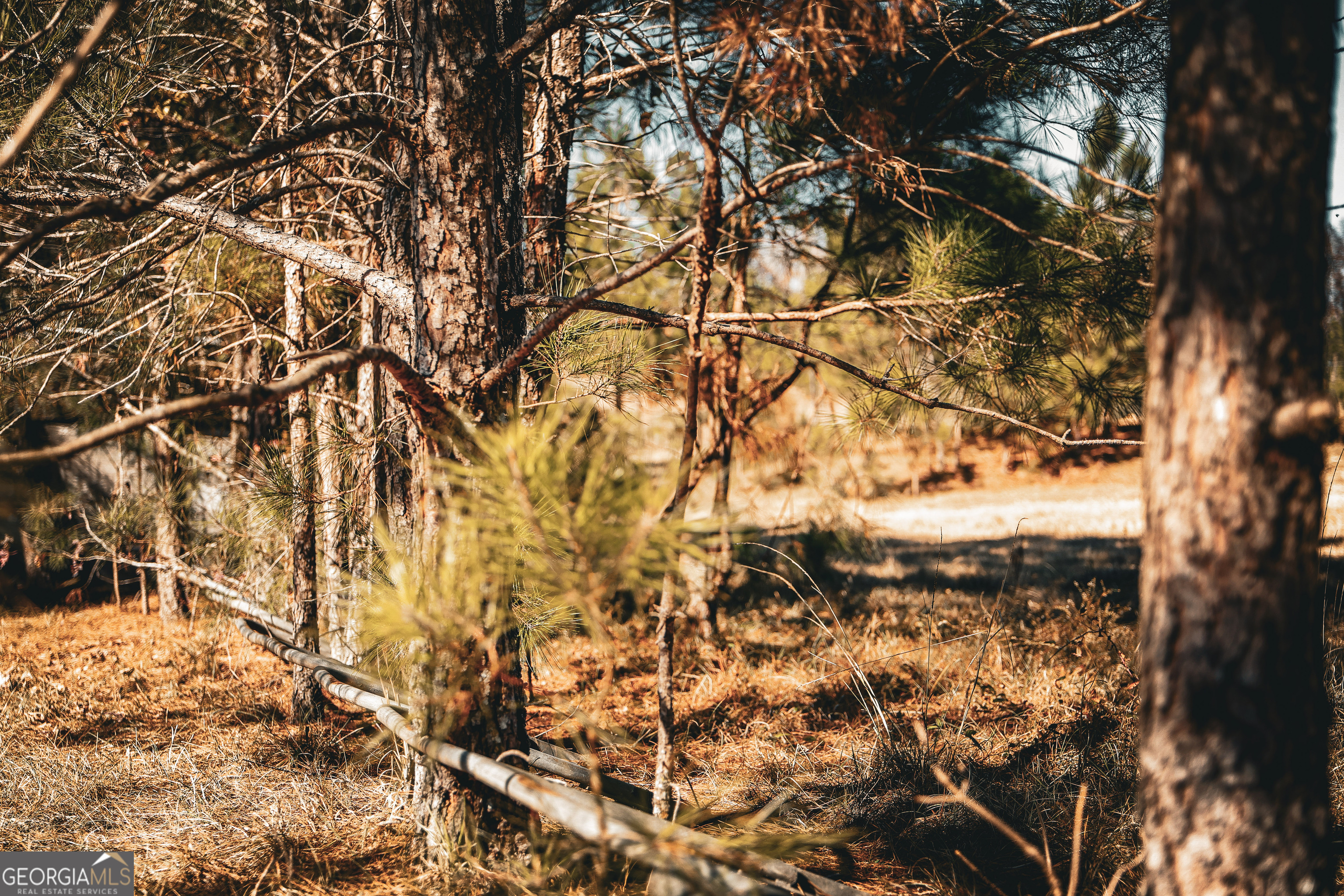 814 Oak Grove Church Road Musella, GA 31066 - Photo 26 of 55