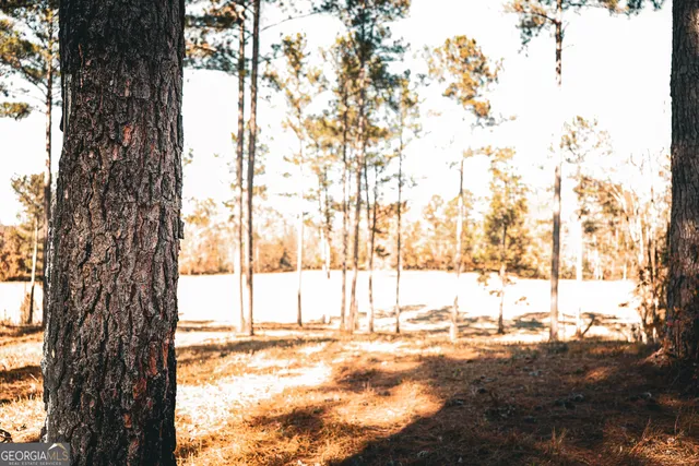 a view of a yard covered with snow
