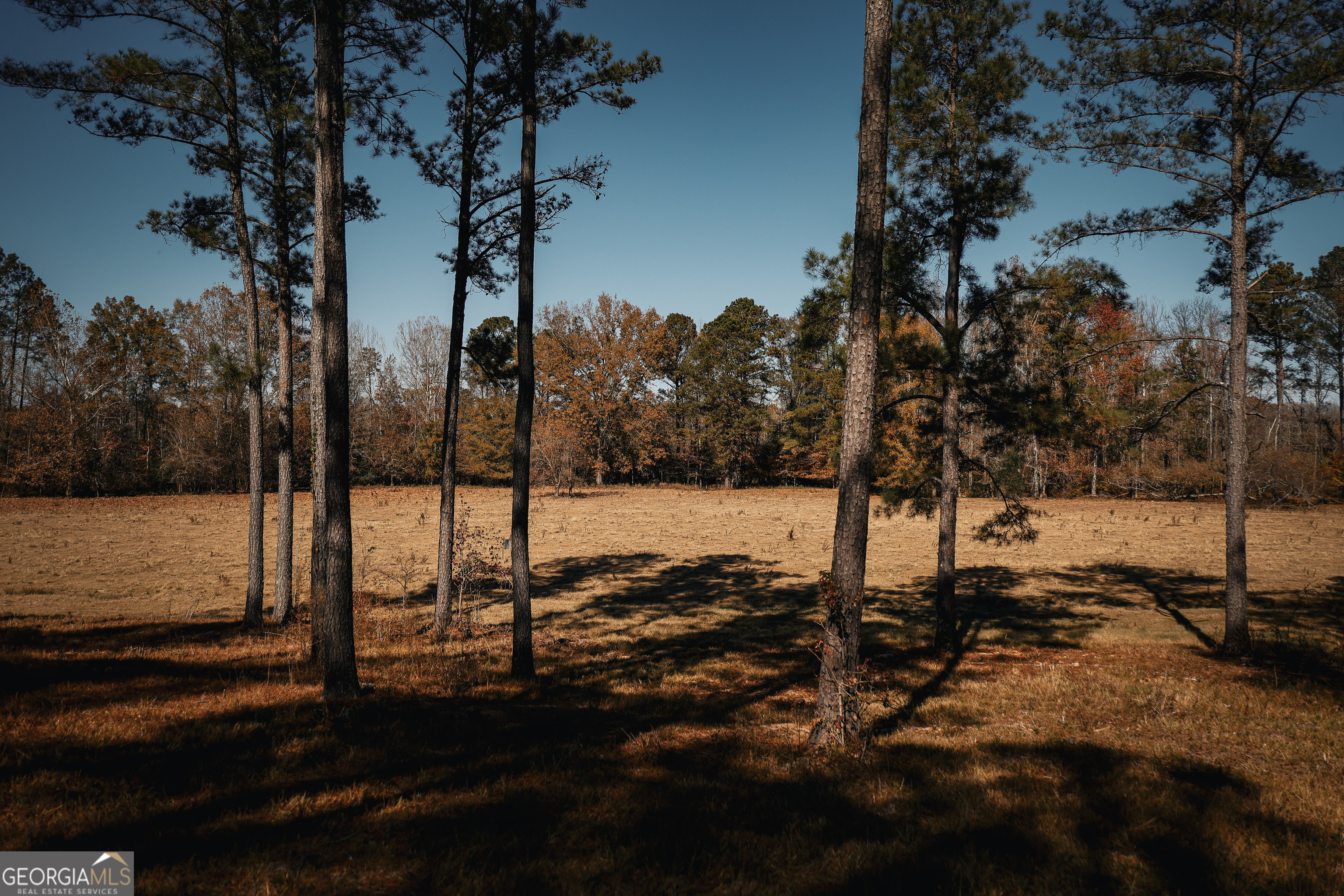 814 Oak Grove Church Road Musella, GA 31066 - Photo 32 of 55