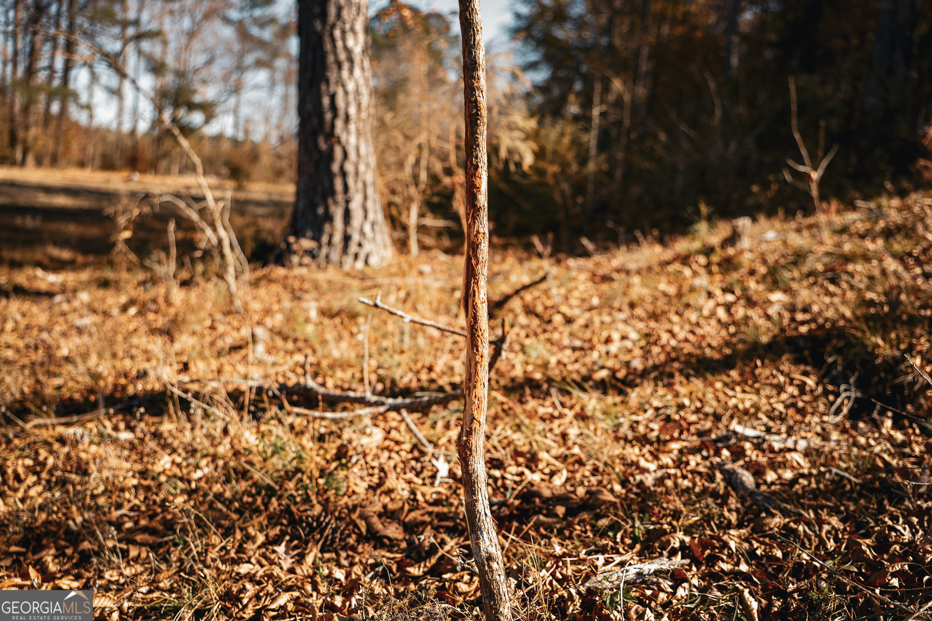814 Oak Grove Church Road Musella, GA 31066 - Photo 35 of 55 a view of a yard covered with snow