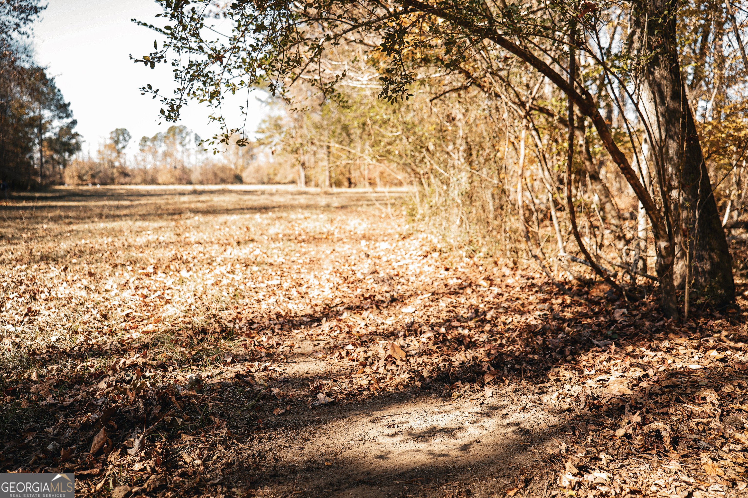 814 Oak Grove Church Road Musella, GA 31066 - Photo 38 of 55 a view of yard with wooden fence