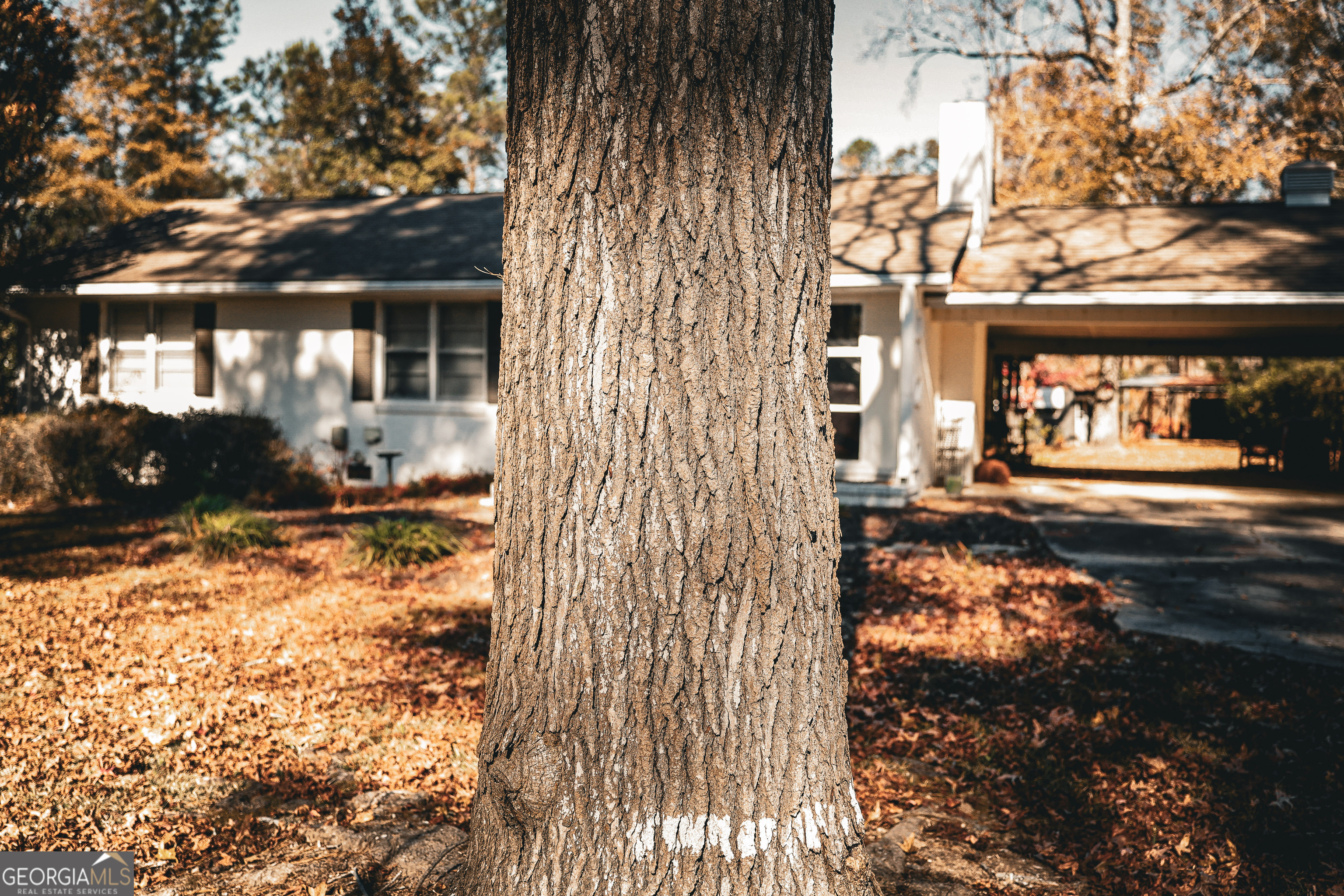814 Oak Grove Church Road Musella, GA 31066 - Photo 4 of 55 a view of a backyard of the house