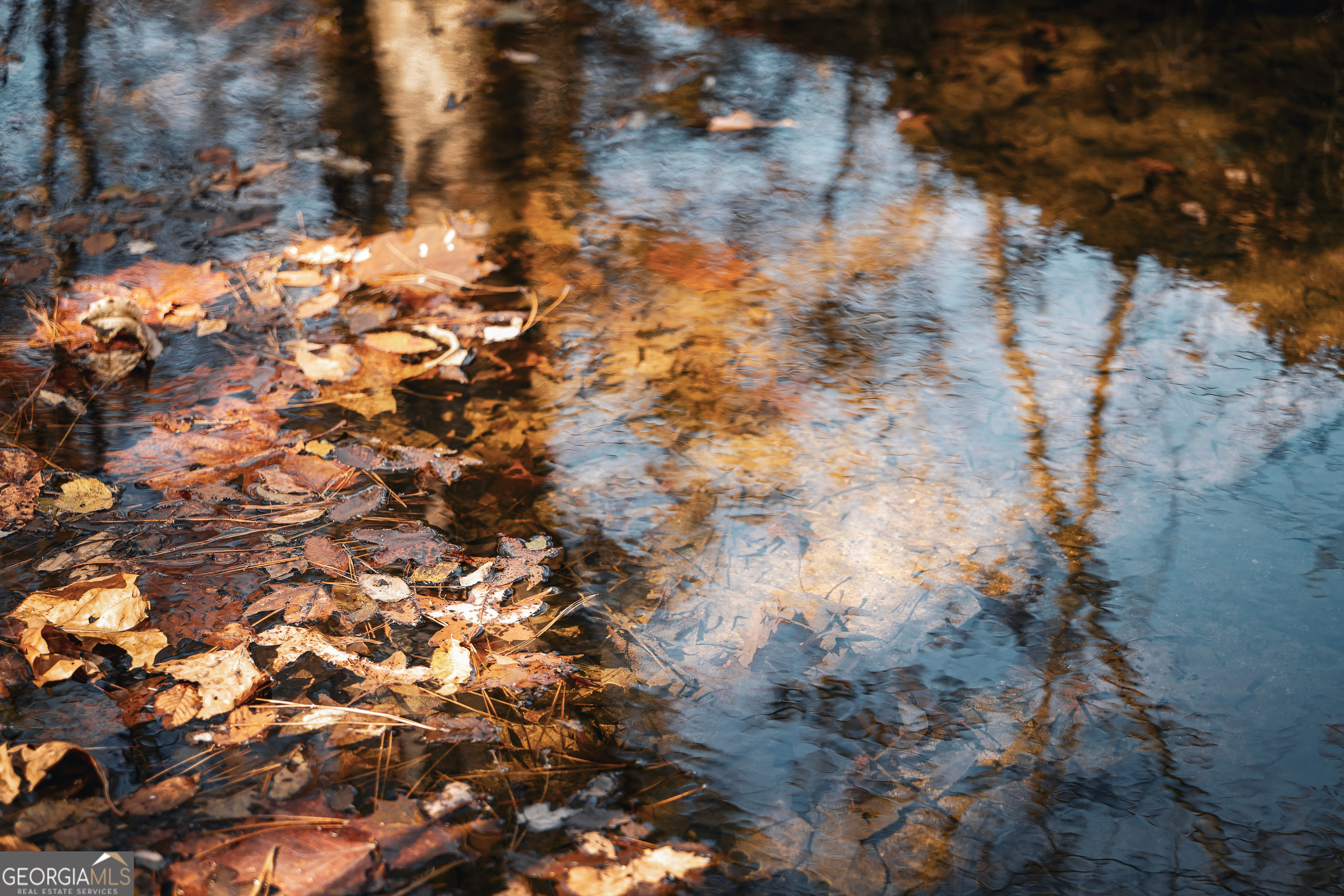 814 Oak Grove Church Road Musella, GA 31066 - Photo 41 of 55 a view of a yard