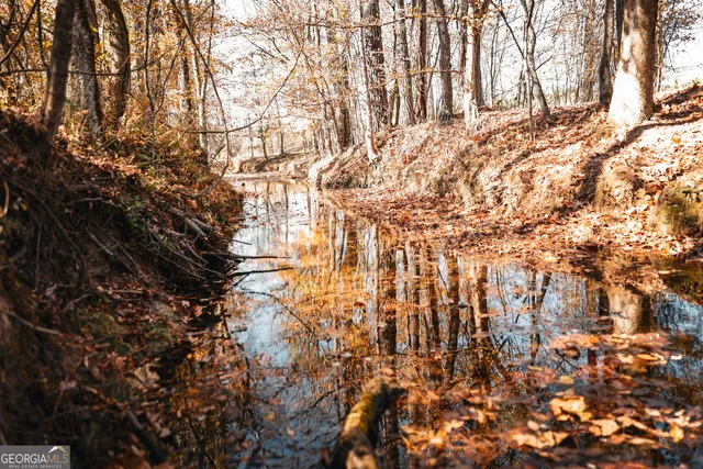 a view of empty space with trees