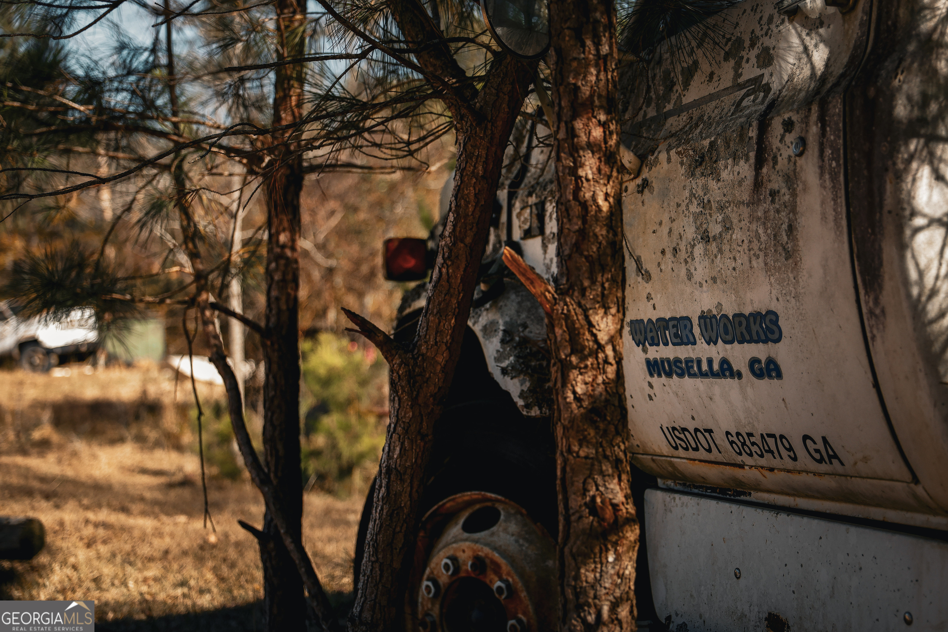 814 Oak Grove Church Road Musella, GA 31066 - Photo 46 of 55 a picture of trees