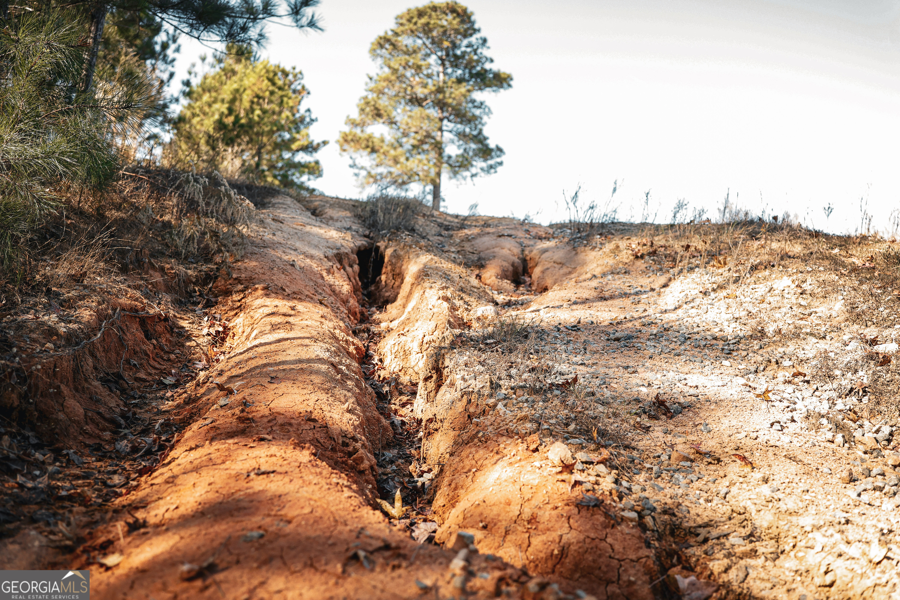 814 Oak Grove Church Road Musella, GA 31066 - Photo 47 of 55 a view of a city