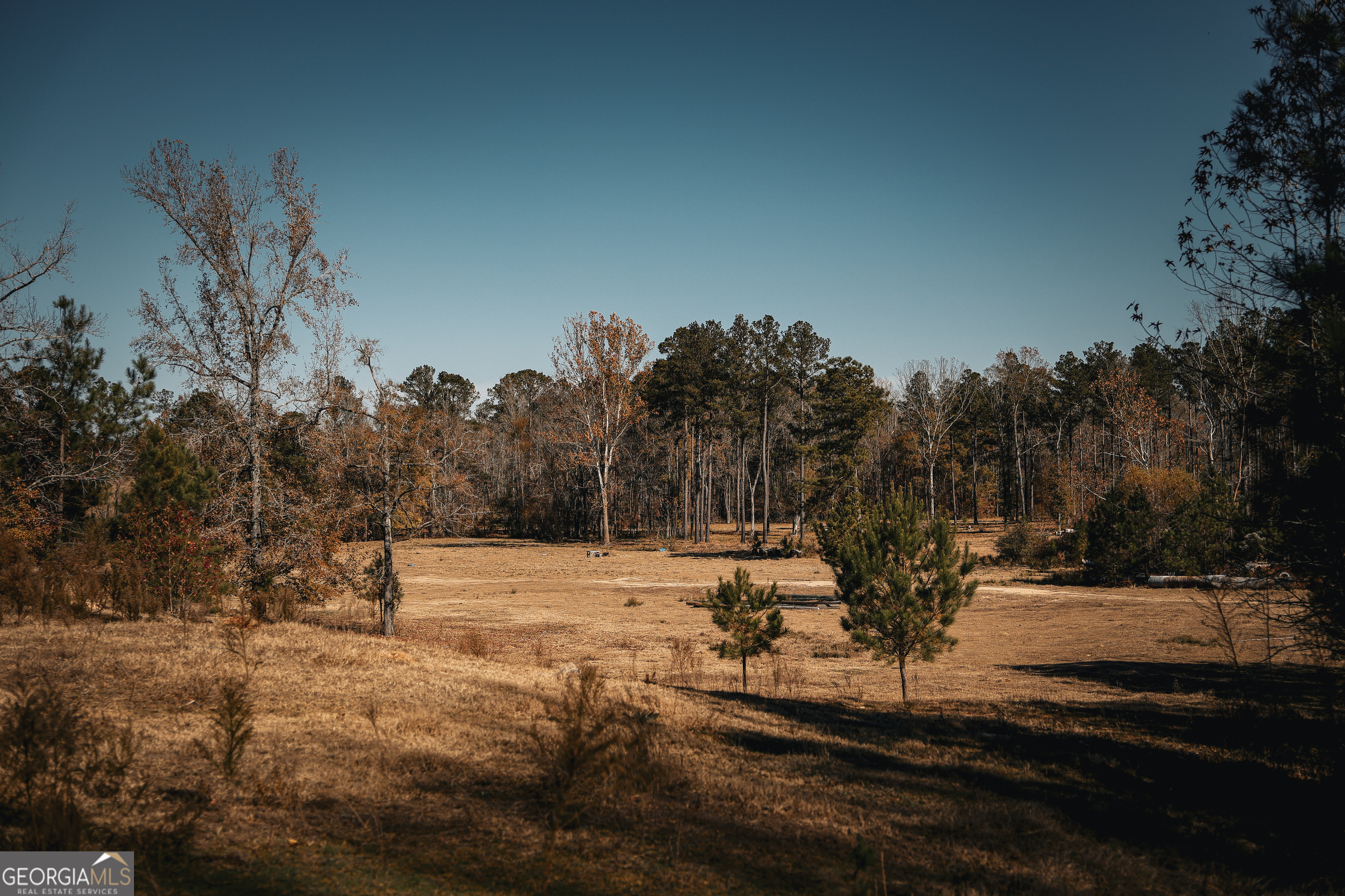 814 Oak Grove Church Road Musella, GA 31066 - Photo 48 of 55 a view of empty space with trees