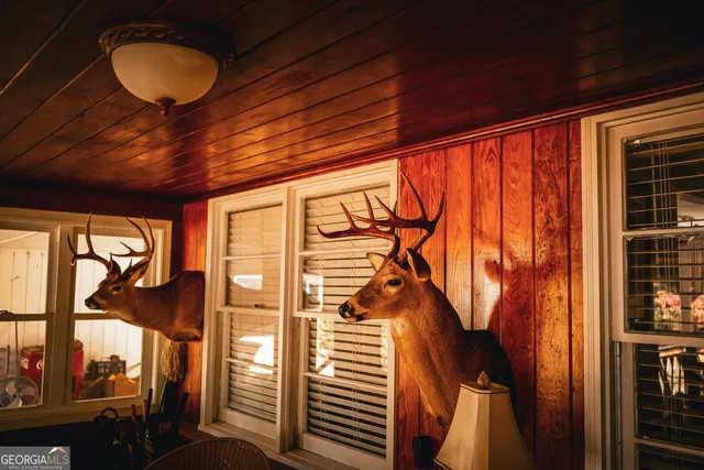 a view of a chairs and table in the backyard