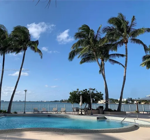 a view of a palm tree with palm trees