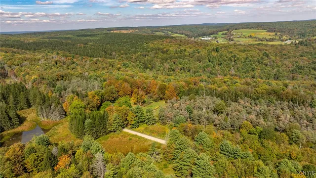 $149,500 | 346 Cueball Road, Coventry, NY 13787