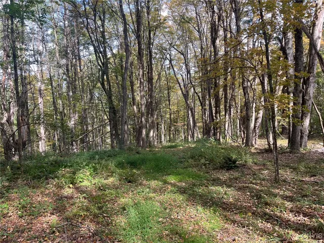 $149,500 | 346 Cueball Road, Coventry, NY 13787