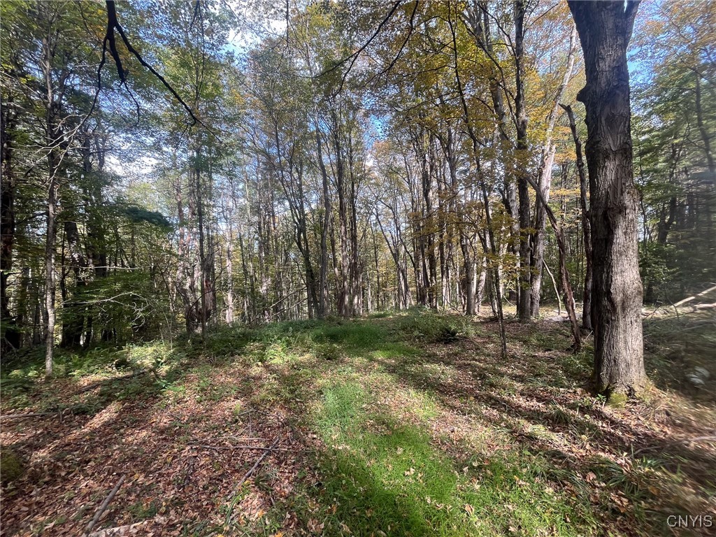 346 Cueball Road Coventry, NY 13787 - Photo 12 of 19