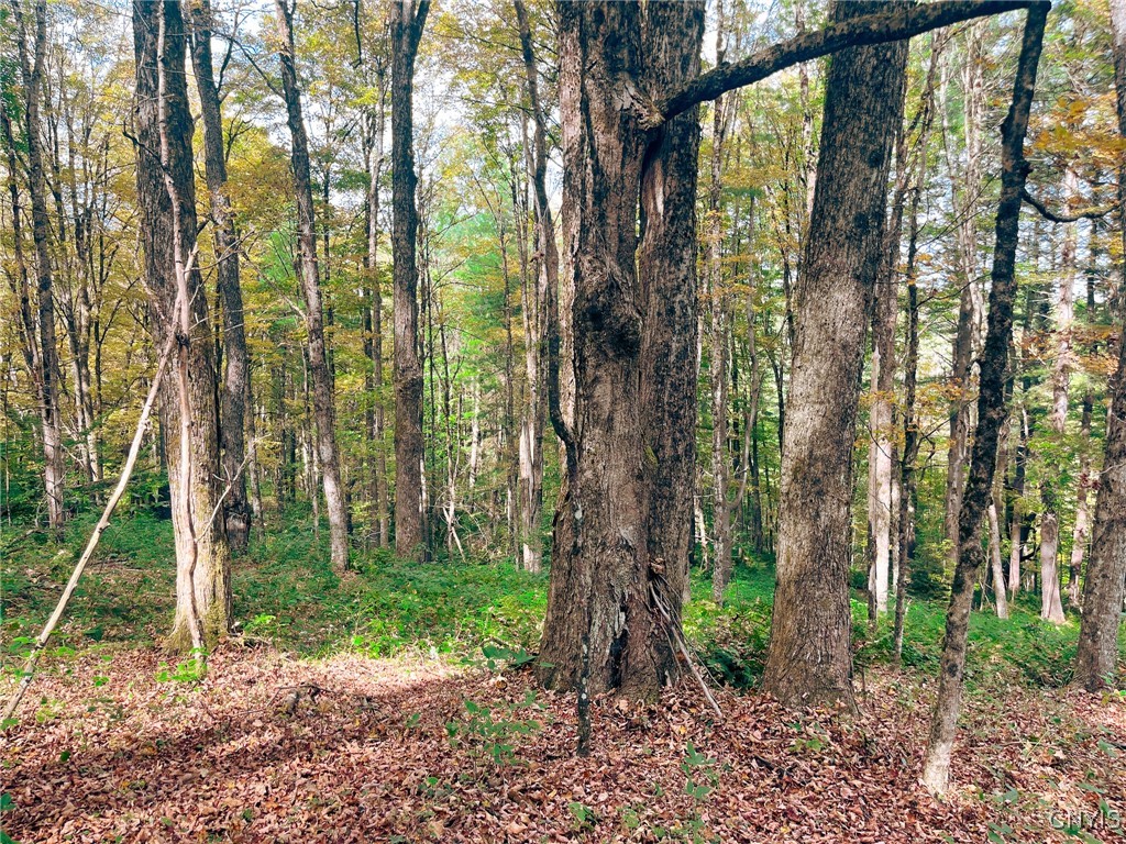 346 Cueball Road Coventry, NY 13787 - Photo 13 of 19