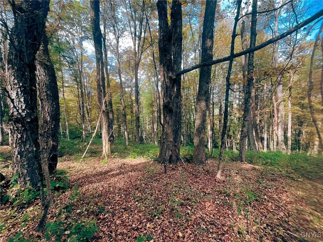 $149,500 | 346 Cueball Road, Coventry, NY 13787