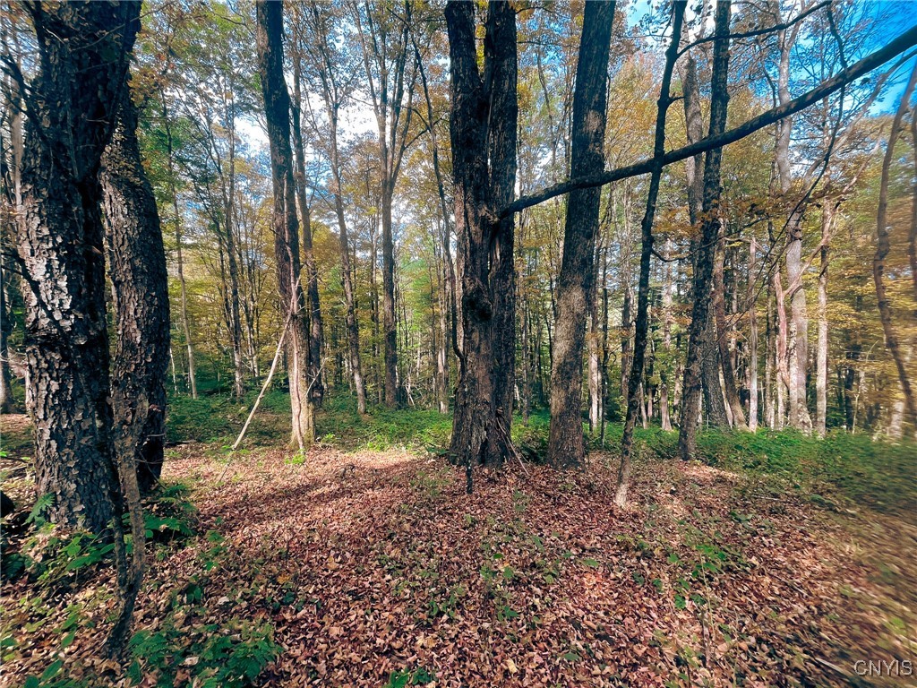 346 Cueball Road Coventry, NY 13787 - Photo 14 of 19