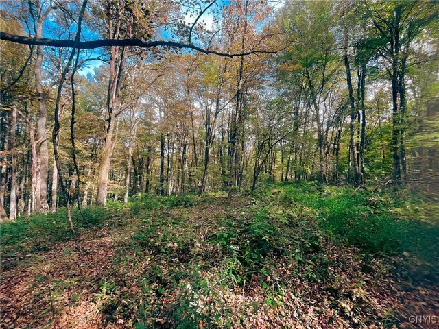 $149,500 | 346 Cueball Road, Coventry, NY 13787