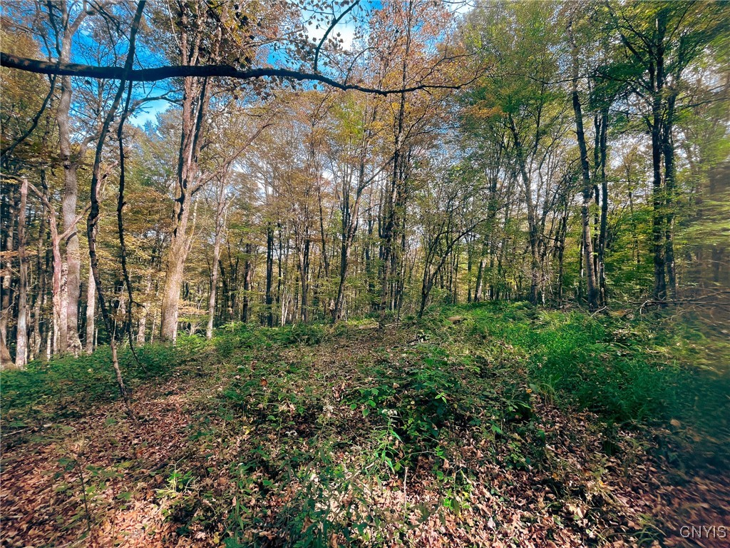 346 Cueball Road Coventry, NY 13787 - Photo 15 of 19