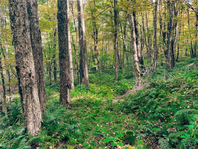 $149,500 | 346 Cueball Road, Coventry, NY 13787