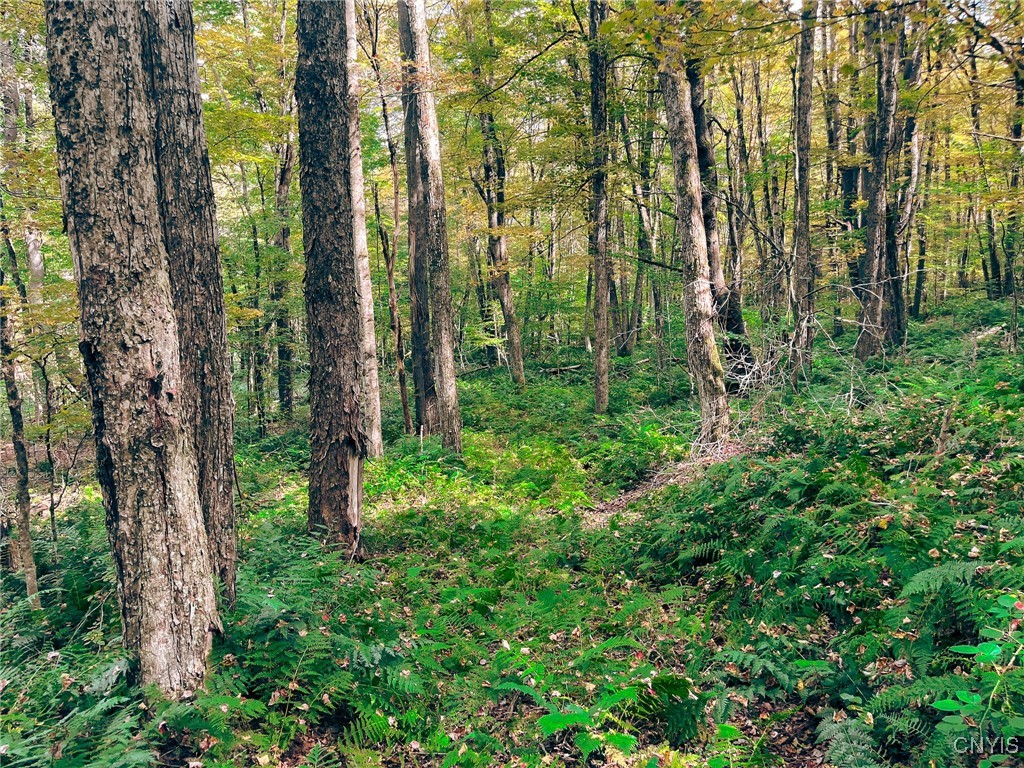 346 Cueball Road Coventry, NY 13787 - Photo 16 of 19