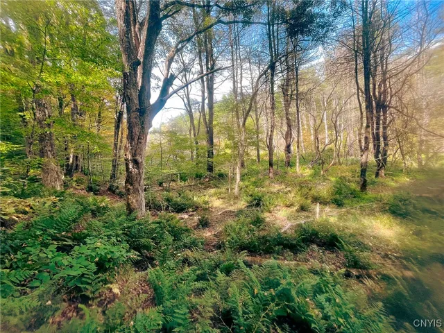 $149,500 | 346 Cueball Road, Coventry, NY 13787