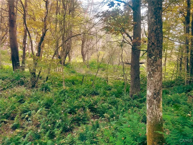 $149,500 | 346 Cueball Road, Coventry, NY 13787