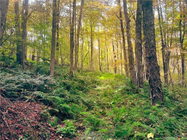 $149,500 | 346 Cueball Road, Coventry, NY 13787