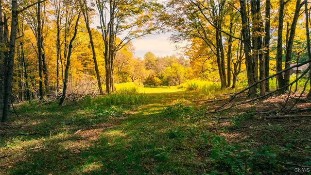 $149,500 | 346 Cueball Road, Coventry, NY 13787