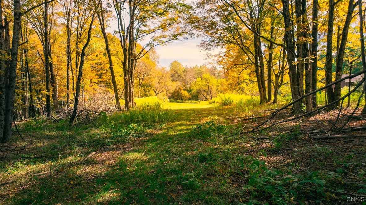 346 Cueball Road Coventry, NY 13787 - Photo 4 of 19